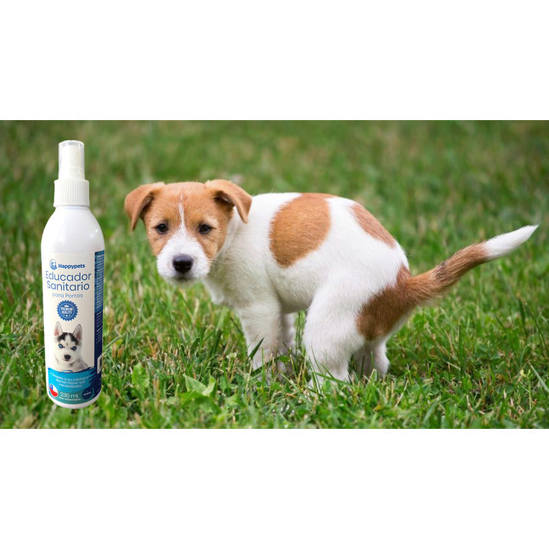 Sabanillas Para Perros + Educador Sanitario +eliminador Olor