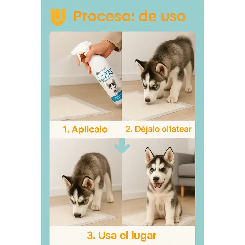 2 Educador Sanitario Perro Educador Perros Educador De Perro Spray 230 Ml