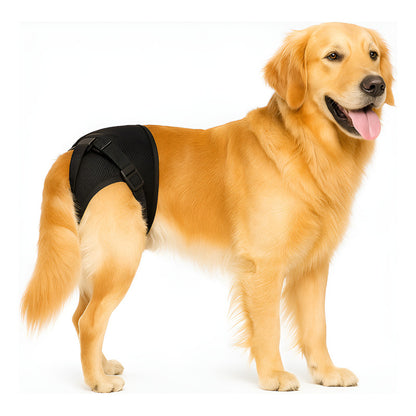 Calzon Perros Celo Calzones Reutilizables 3 Repuestos Pañal