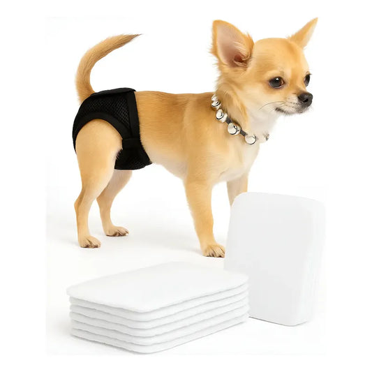 Pack 10 Protector Calzón Celo Mascota Absorbente Almohadilla Blanco-talla-l