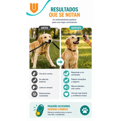 Herramienta Obediencia Perros Aprendizaje Rapido Control Mul Azul