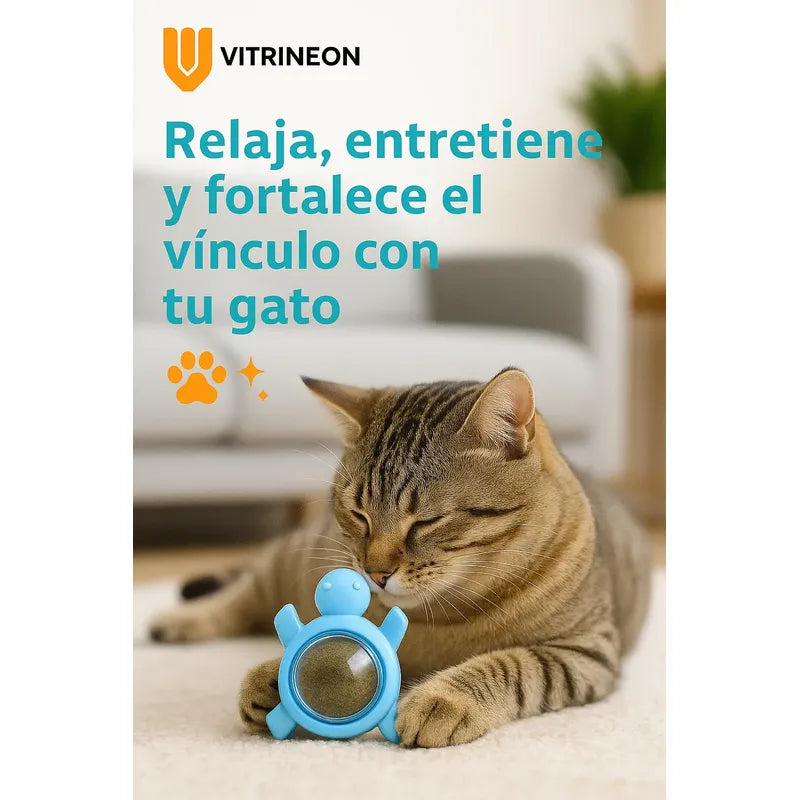 Bola Hierba Gatera Catnip Gatos Bola Snack Catnip Antiestrés Tortuga