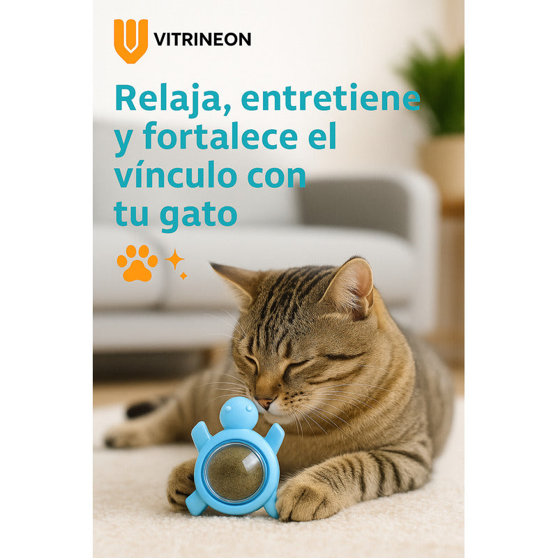 Bola Hierba Gatera Catnip Gatos Bola Snack Catnip Antiestrés