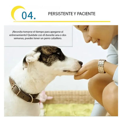 50 Sabanillas Perros 45x60 + Educador Sanitario Perro 230 Ml