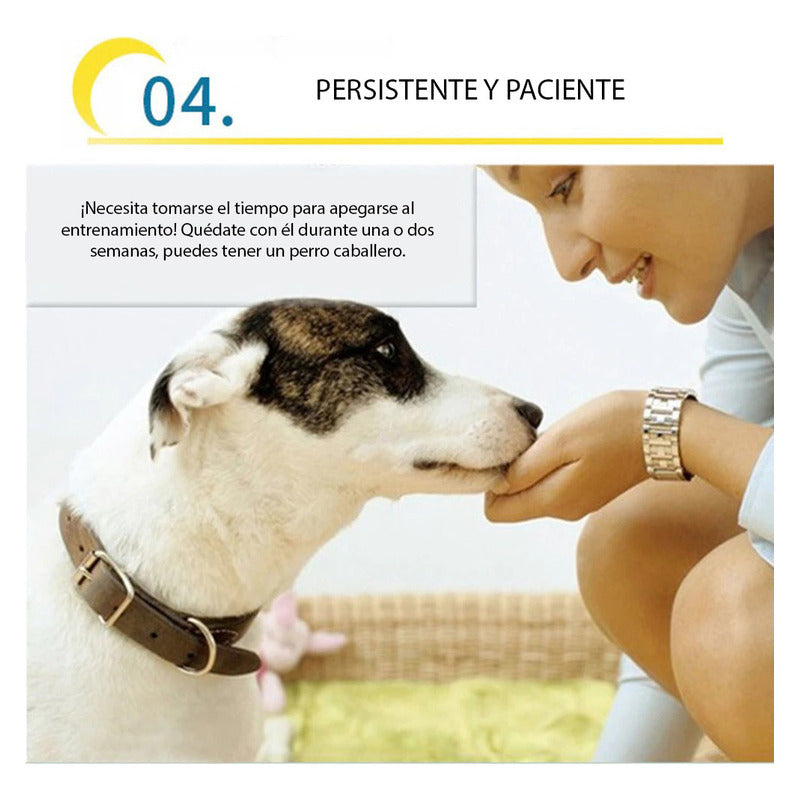 50 Sabanillas Para Perros + Educador Sanitario Perro 230 Ml