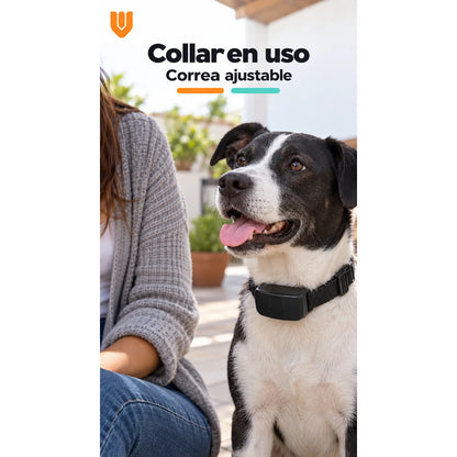 Collar Perro Entrenamiento Electrico Control Remoto Negro Collar Canino Correa Ajustable Tejida Hebilla Receptor Control Remoto Pantalla Pilas Incluidas Entrenamiento