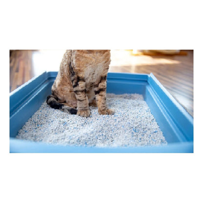 Arena Para Gatos Aglutinante Arena Sanitaria Para Gatos 5kg