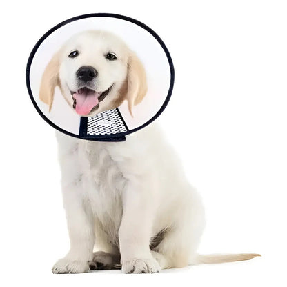 3 Collar Isabelino Gato Collar Perro Collar Isabelino Perr 4