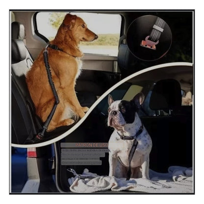 X2 Cinturón De Seguridad Perro Gato Correa Elástica Auto