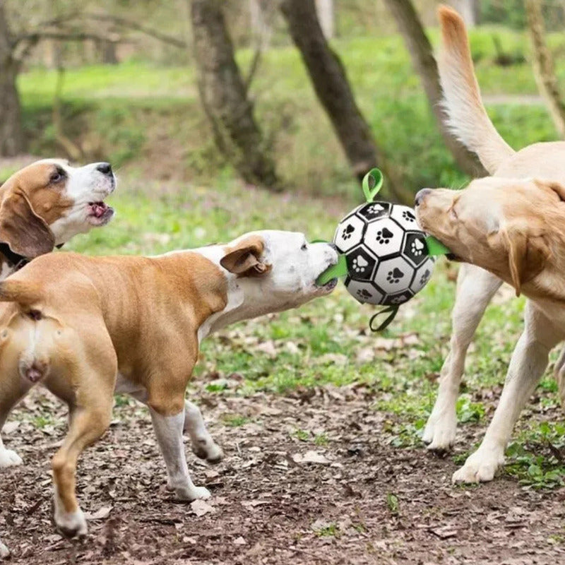 Pelota Para Perro Con Agarre Juguete Perro Pelota Perro 15cm