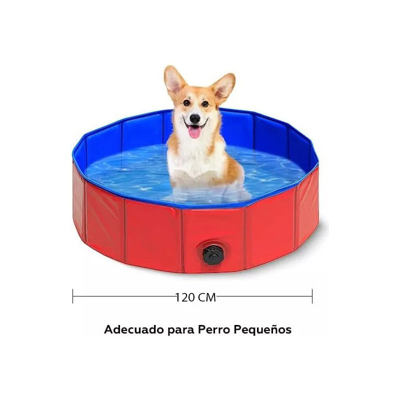 Piscina Para Perros Piscina Plegable Mascotas Perros 120cm