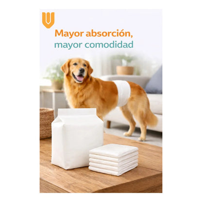 Pañales Perros Macho Gatos Desechables Incontinencia L Blanco 24 Unidades Macho L 65 X 20cm