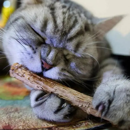 X5 Snack Para Gatos Palitos Hierba Gatera Juguete Yerba Gato Marrón