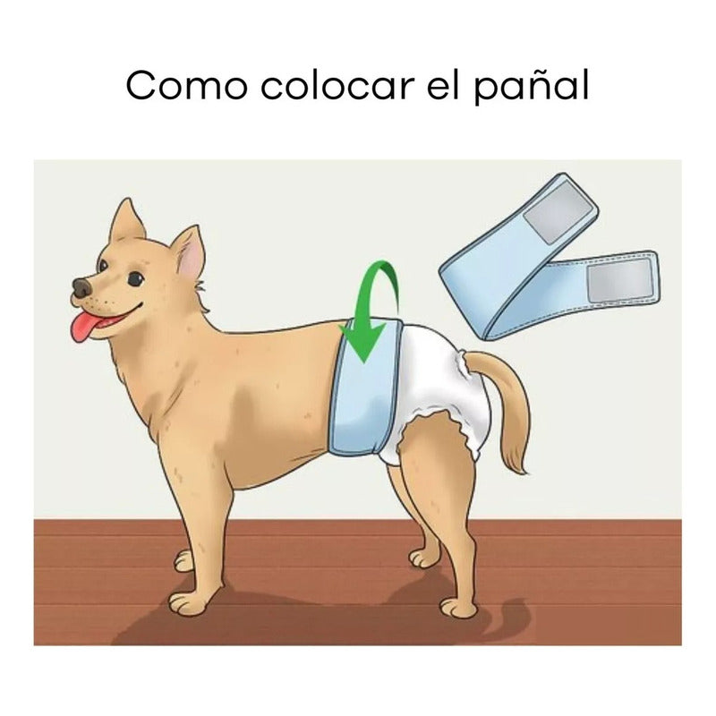 120 Pañales Para Perros Pañales Para Perro Pañales Gato Xl