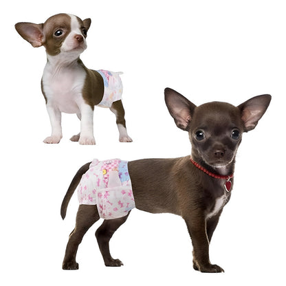 X10 Pañales Perros Panal Hembra Macho Pañales Gato Xs