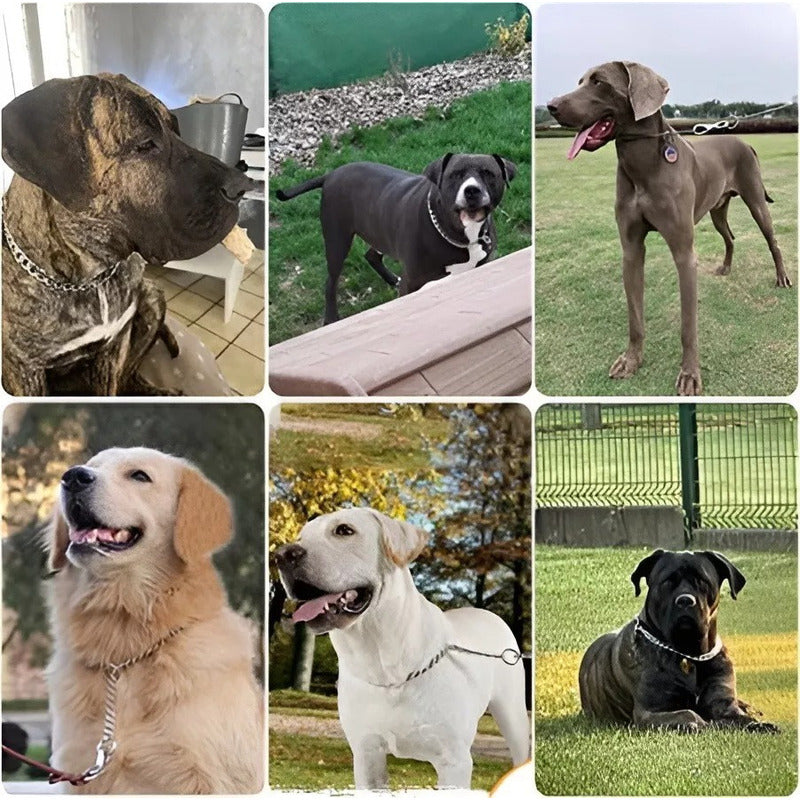 Collar Adiestramiento Perro Collar De Adiestramiento 50cm