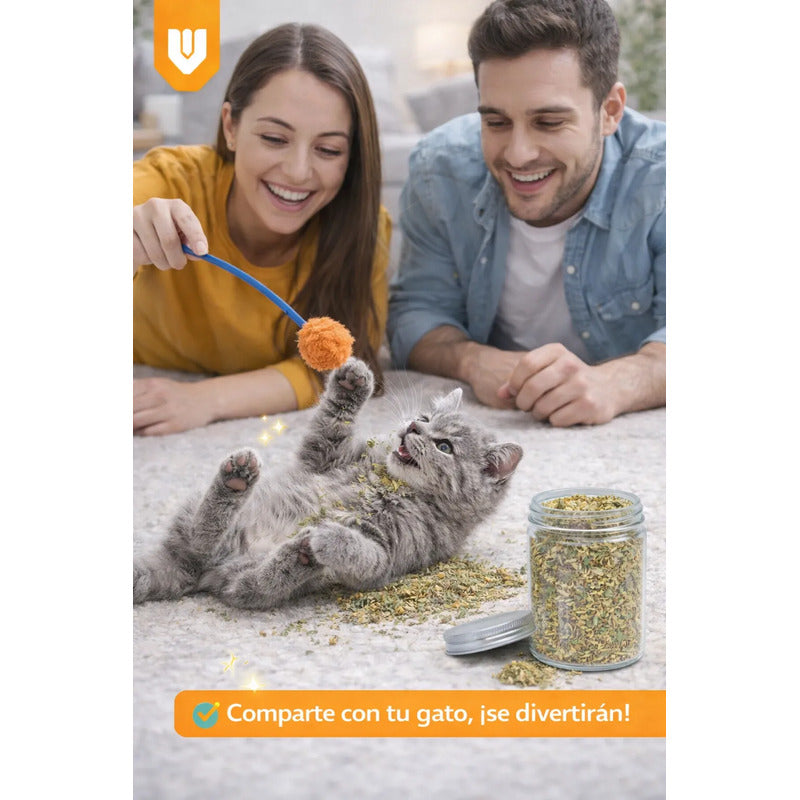 Hierba Gatera Natural Snack Seco Relajacion Gato Mascota 30g Hierba