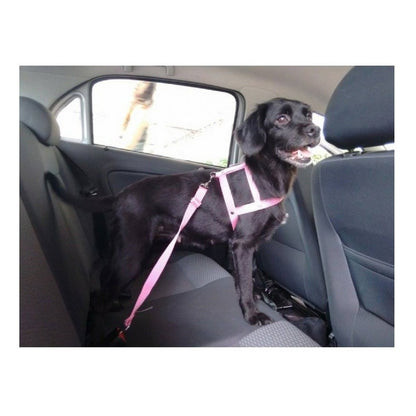 Cinturón De Seguridad Para Perros Y Gatos Con Hebilla Para Coche A Todo Color Negro Flop