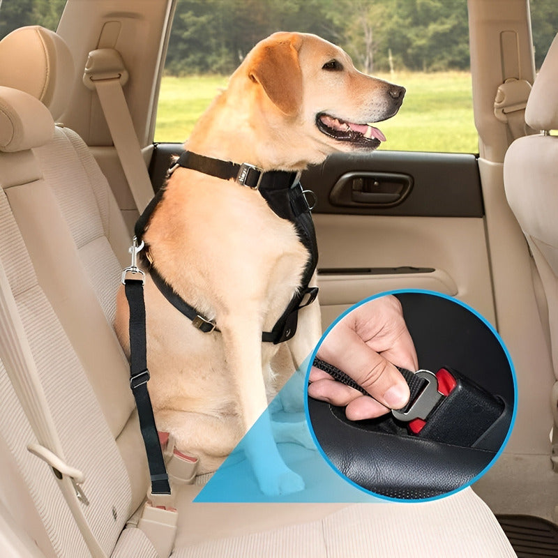 Cinturón De Seguridad Para Perros Y Gatos Con Hebilla Para Coche A Todo Color Negro Flop