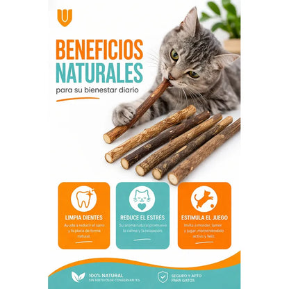 X20 Palitos Hierba Gatera Yerba Gatera Juguete Para Gatos Marrón