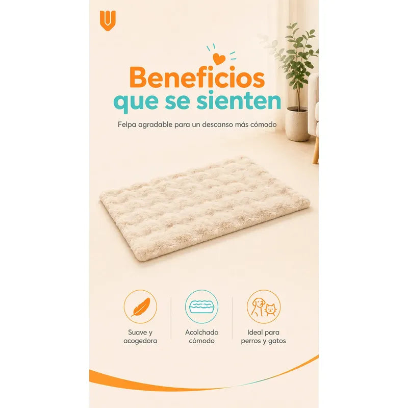 Cama Perros Mascotas Acolchada Lavable Resistente 60x80cm Beigecrema Camas De Perro