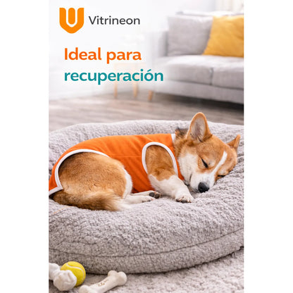 Body Vitrineon Mascota Ajustable Transpirable Lavable Comodo S