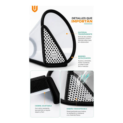 Cono Isabelino Veterinario Canino Felino Postoperatorio Collar Isabelino Recuperacion Quirurgica Mascotas Grandes Protector Veterinario Ajustable Premium Talla 2 Grande Mascotas Perros Gatos...