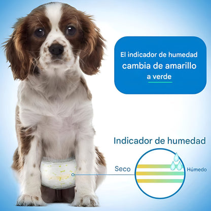 24 Pañales Para Perros Pañales Para Perro Pañales Gato Xl