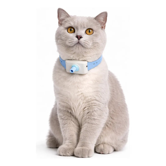 Collar Gato Juguete Interactivo Laser Mascota Inteligente Talla Unica Collar Azul Gato Laser Interactivo Inteligente Silicona Ajustable Hebilla Led Juguete Mascota Entrenamiento Azul Collar Gato...