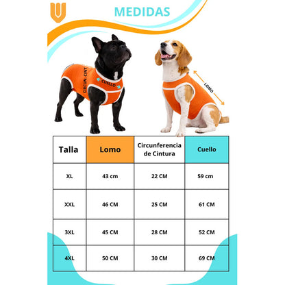 Traje Quirurgico Mascotas Ajustable Transpirable Lavable 2xl