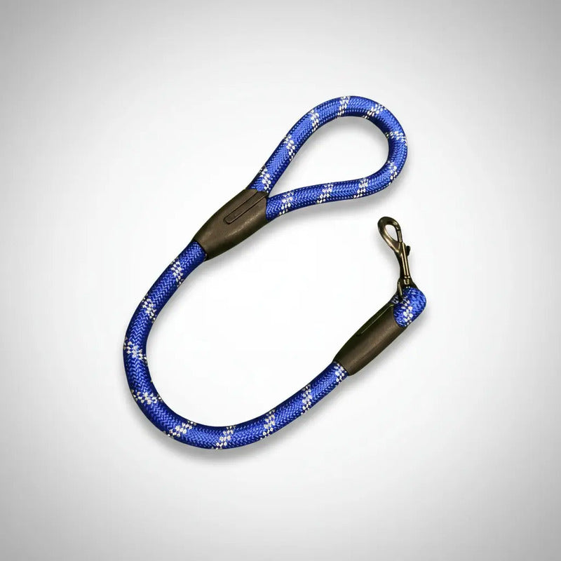 Correa Resistente Para Perro Correa Accesorio De Mascota Azul