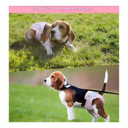 X40 Pañales Para Perro Hembra Panal Perro Pañal Perro Gato S