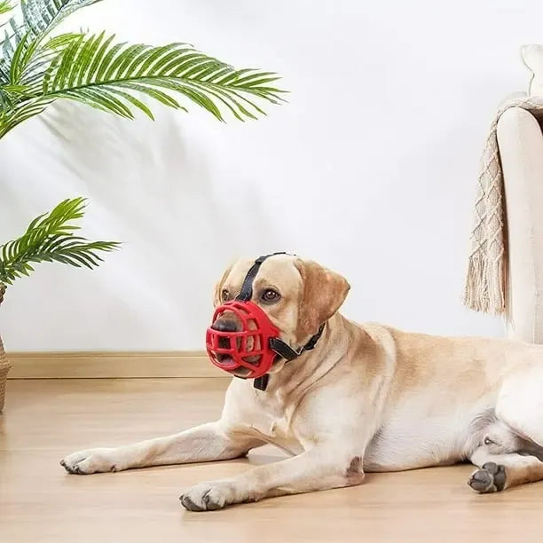 Bozal Perro Grandes Bozal Para Perro Bozal Perro Grande Xxl