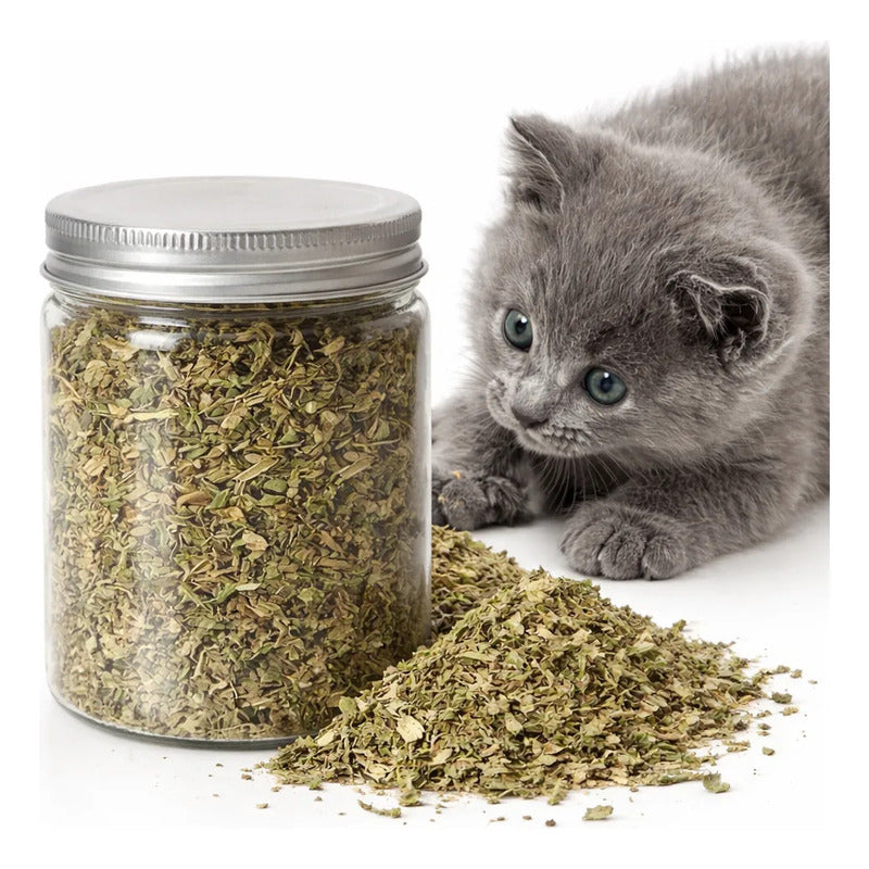 Hierba Gatera Natural Snack Seco Relajacion Gato Mascota 30g Hierba