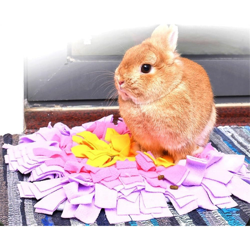 Alfombra Olfativa Perro Juguete Alfombra Olfativa Para Perro