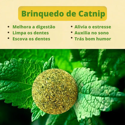 Juguete Interactivo De Aguacate Con Hierba Gatera Para Gatos, Color Verde