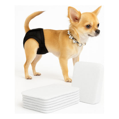 Pack 50 Protector Calzón Celo Mascota Absorbente Almohadilla