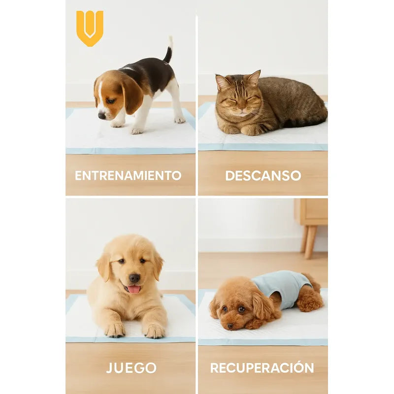 X60 Sabanilla Entrenamiento Perro Mascota Perros 45x60cm Azul Azul 45x60cm