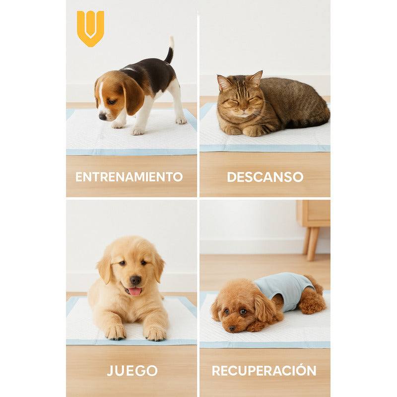 X60 Sabanilla Entrenamiento Perro Mascota Perros 45x60cm Azul Azul 45x60cm