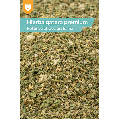 Hierba Gatera Natural Snack Seco Relajacion Gato Mascota 30g