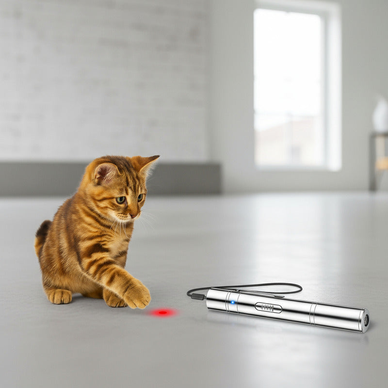 Puntero Laser Usb Juguete Laser Interactivo Gatos Recargable