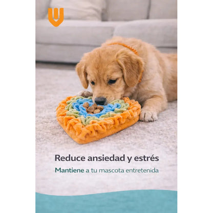 Juego Busqueda Comida Perro Estimulacion Mental Interactiva Multicolor Tonos Pastel Rosa Celeste Amarillo Naranja Verde Juguete Mascota Diseño Corazon Tela Suave Lavable Resistente