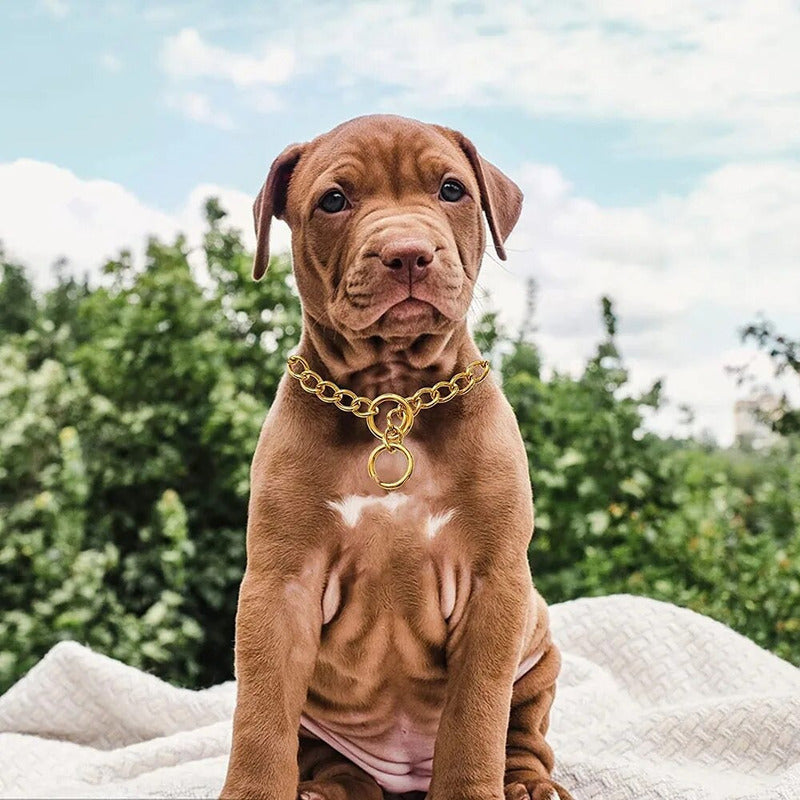 Collar Adiestramiento Perro Collar De Adiestramiento 50cm