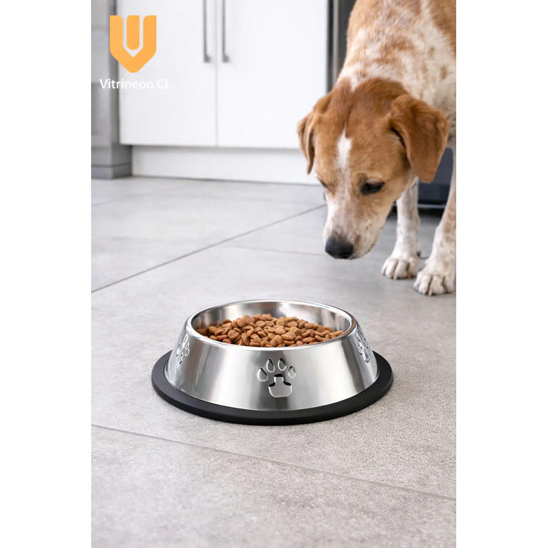 X4 Comedero Perros Platos Gatos Mascotas 26cm Comida  Agua Plateado