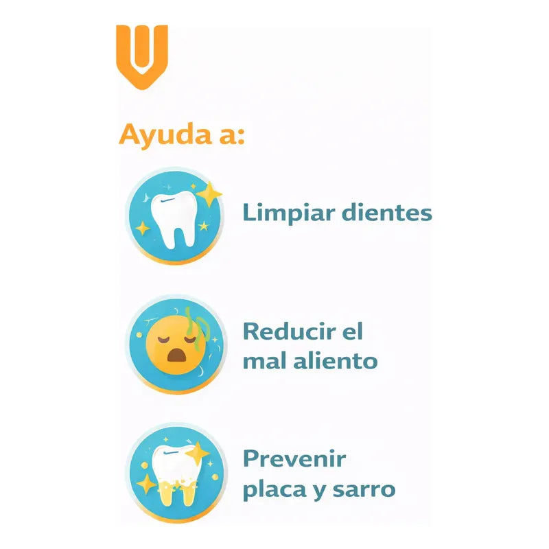 Cepillo Y Pasta De Dientes Perro Pasta Dientes Mascotas Carne
