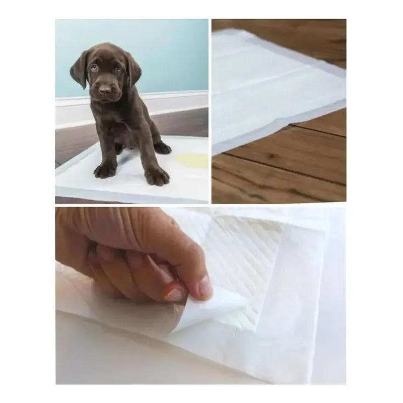 X100 Baño De Perro Sabanilla Perro Paños De Perros 45x60cm Azul