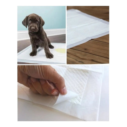 X100 Baño De Perro Sabanilla Perro Paños De Perros 45x60cm Blanca 46x60cm