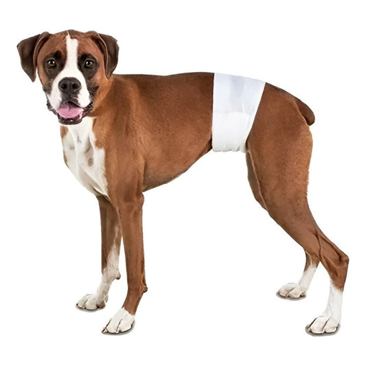 48 Pañales Para Perros Macho Pañales Perro Panales Gato M