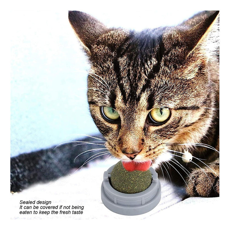 X3 Bola Hierba Gatera Catnip Para Gatos Bola Snack Catnip