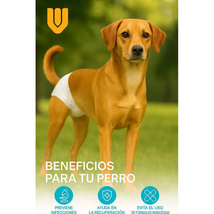 X10 Pañales Perros Pañal Macho Hembra Desechable Gato L Blanco Hembra L 52 X 32 Cm